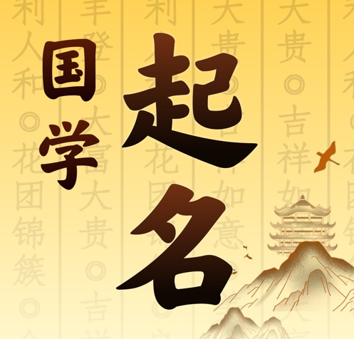孝昌国学起名 人工起名一对一